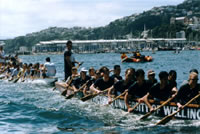 Tangaroa Regetta 1999