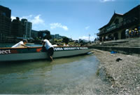 Tangaroa Regetta 1999